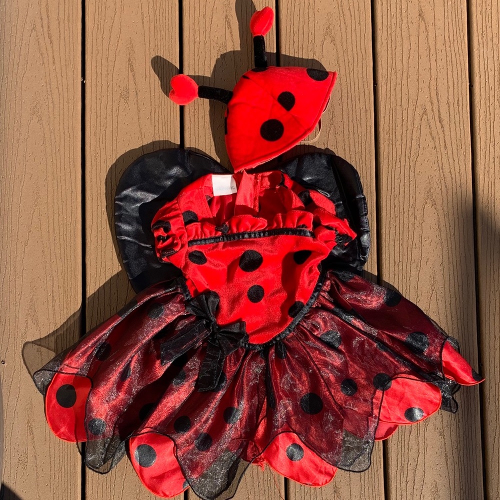 MINIWEAR 2 PC LADYBUG COSTUME w/ANTENNA HAT SZ 12M